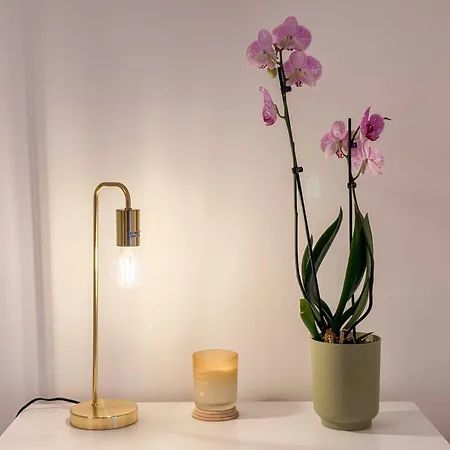 Lejlighed Sv - Prestige *